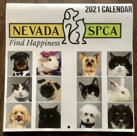 Volusia County Spca Calendar